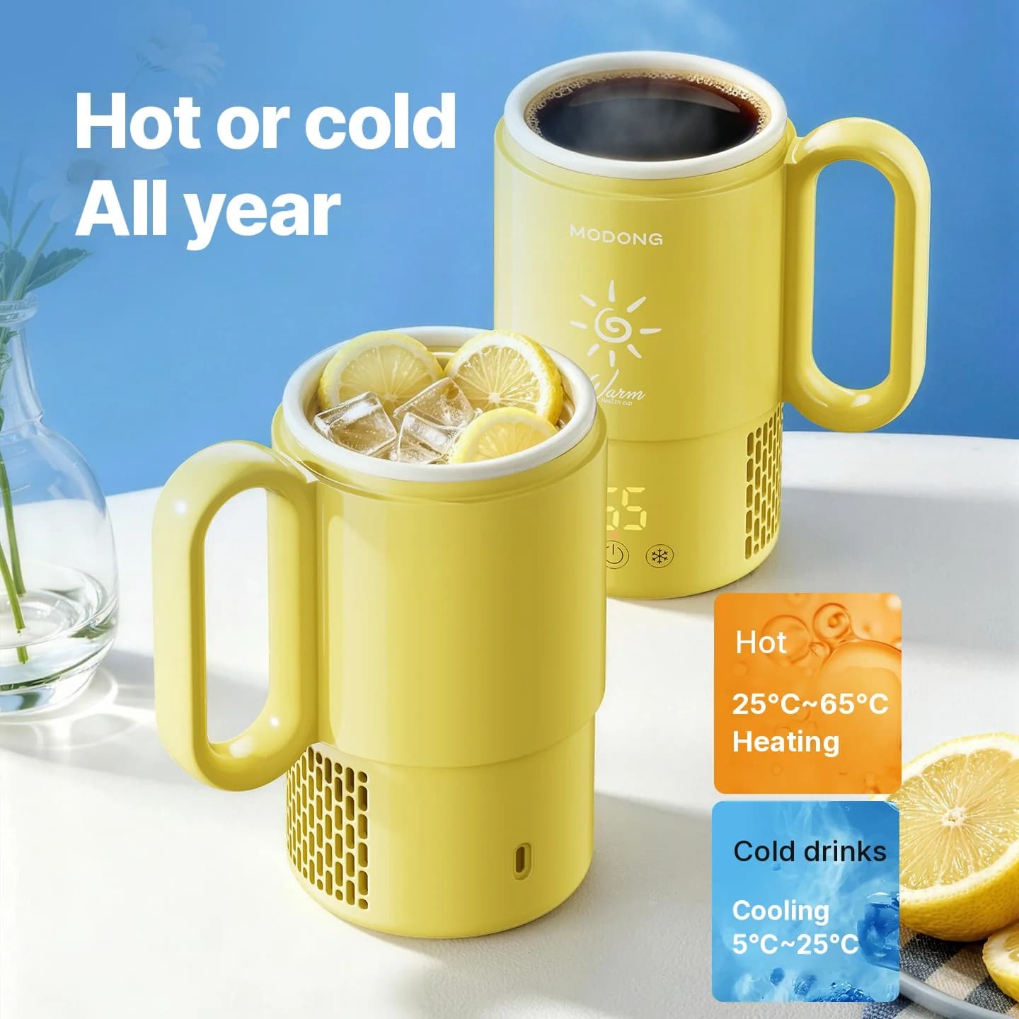 Mini skodelica za hlajenje in segrevanje 450mL 36W z upravljanjem na dotik