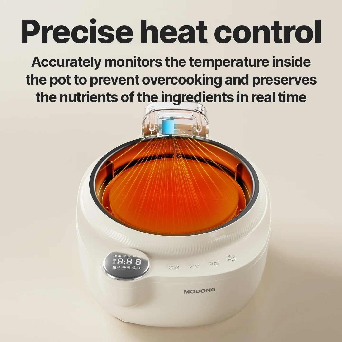 Električni stekleni lonček za zdravje z nadzorom temperature in kuhalnikom za čaj